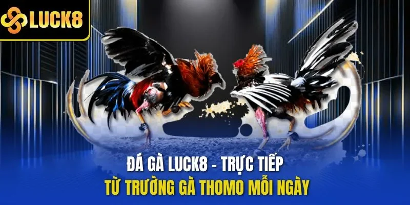 đá gà LUCK8